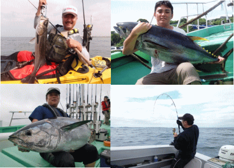 【ナノダックス】プロセレショックリーダーを使用したフィールドテスト