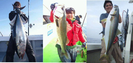 【ナノダックス】プロセレショックリーダーを使用したフィールドテスト